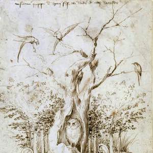 The Forest that hears and the field that sees, ca 1500, Hieronymus Bosch, front of two-sided drawing (Kupferstichkabinett Berlin) #bosch #flemish #drawing #nature
